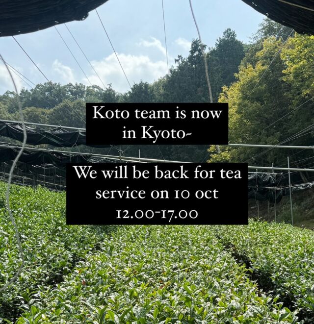 We are now traveling in Kyoto, we will be back to share our experiences and open for tea service from 10 oct onwards 12.00-17.00. Looking forward to see you soon! / Online tea sales service is available please contact @chajinteasupply